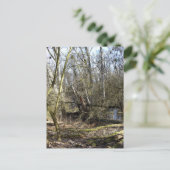 Natuur Meadowlands Briefkaart (Staand voorkant)