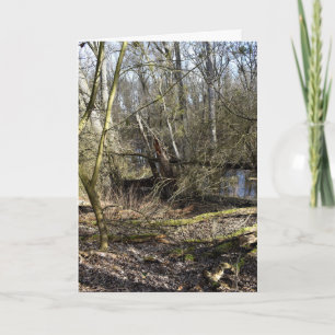 Natuur Meadowlands Kaart