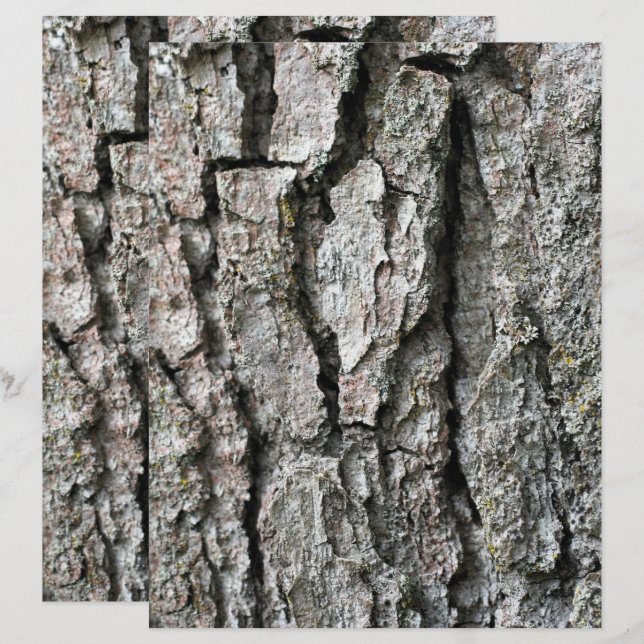 Natuur met boomschors (Voorkant / Achterkant)