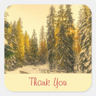 Natuur met sneeuwbedekking pijnbomen Foto Dank u Vierkante Sticker