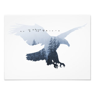 Natuur Monde Terre Libr Aigle Animal Forêt Sauvage Foto Afdruk