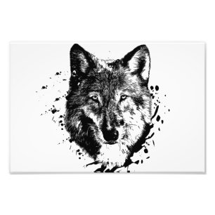 Natuur Monde Terre Libre Loup Animal Forêt Sauvage Foto Afdruk
