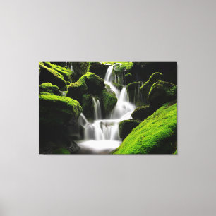 Natuur mooie Waterfall Moss Rocks Fotografie Canvas Afdruk