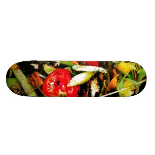 Natuur Morte 18 Skateboard
