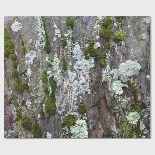 Natuur Moss Lichen Camouflage Foto Cadeaupapier (Vlak)