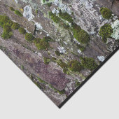 Natuur Moss Lichen Camouflage Foto Tissuepapier (Detail)