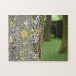 Natuur Mossy Tree Bossen Legpuzzel