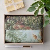 Natuur Muscinae Ernst Haeckel ontkoppeling Tissuepapier (Geschenk)