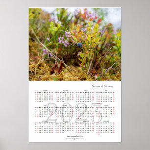 Natuur Noorwegen, kalender 2023 Poster