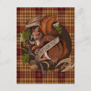 Natuur Not Eekhoorn  Briefkaart