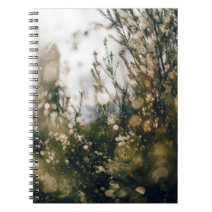 NATUUR NOTITIEBOEK