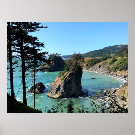 Natuur Oregon Coast Sunny Beach Rocks Foto Poster (Voorkant)