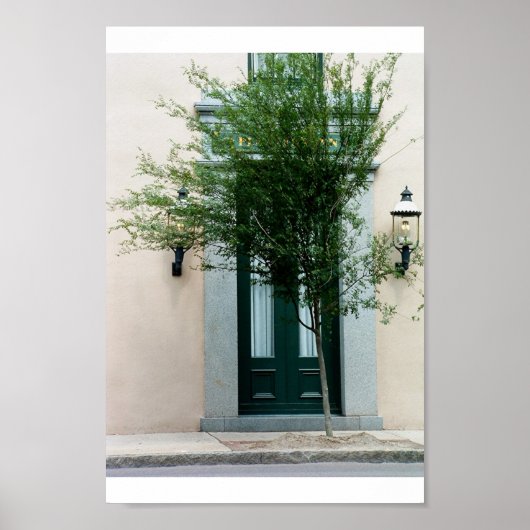 natuur over poster (Voorkant)