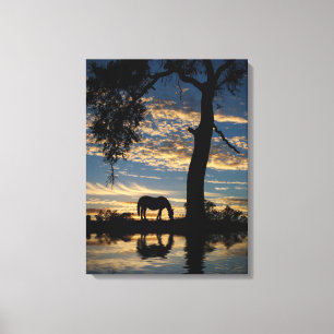 Natuur Paarden en Pond Landschap Canvas Afdruk