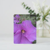 Natuur Paarse Hibiscus Flower Bedankt (Staand voorkant)