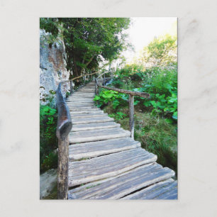 natuur pad briefkaart