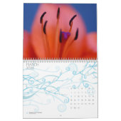 Natuur palet kalender (Mar 2026)