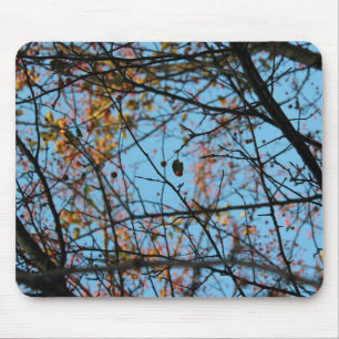 Natuur patroon muismat