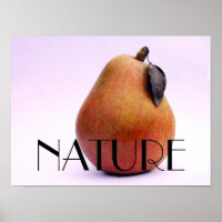 NATUUR peren