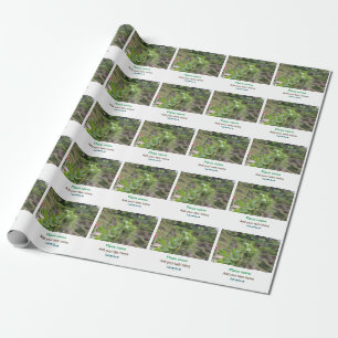 Natuur planten Fotografie Strand Water Reisnaam Cadeaupapier