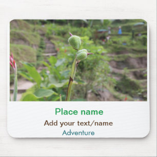 Natuur planten Fotografie Strand Water Reisnaam Muismat