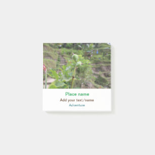 Natuur planten Fotografie Strand Water Reisnaam Post-it® Notes