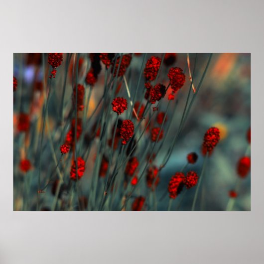 Natuur Poster (Voorkant)
