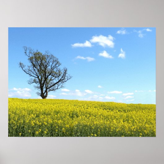 Natuur Poster (Voorkant)