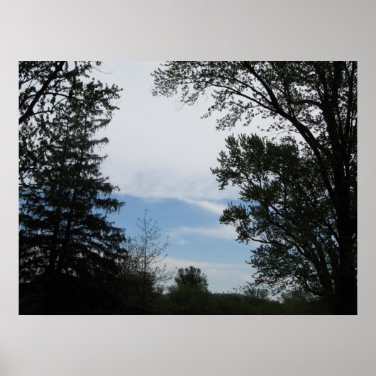 Natuur Poster (Voorkant)