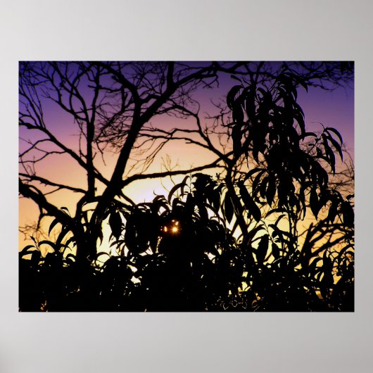 Natuur Poster silhouet (Voorkant)