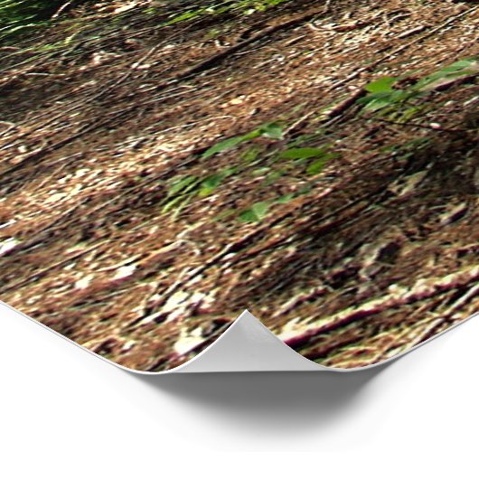 Natuur prints (Hoek)