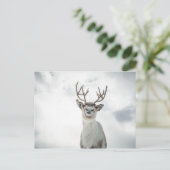 Natuur rendierfoto briefkaart (Staand voorkant)