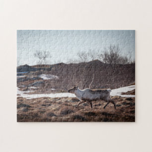 Natuur rendierfoto legpuzzel