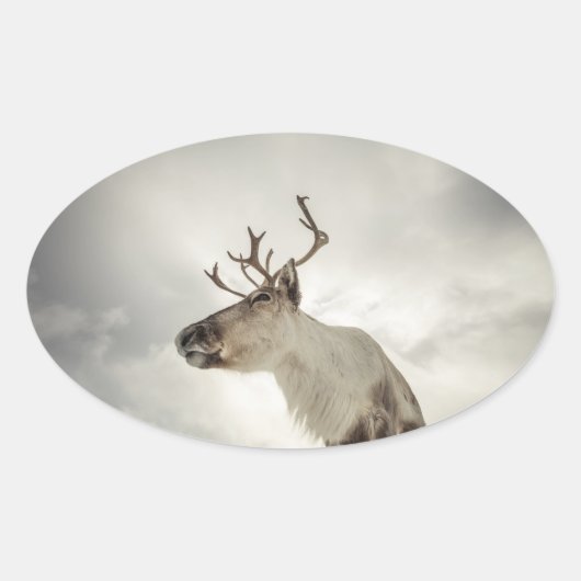Natuur rendierfoto ovale sticker (Voorkant)