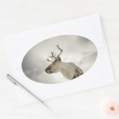 Natuur rendierfoto ovale sticker (Envelop)