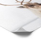 Natuur rendierfoto poster (Hoek)