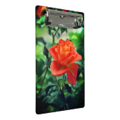 Natuur Roze Rozenbloem-46458 Mini Klembord (Schuin)