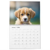 natuur’s Bliss: een jaar in Afbeelding Kalender (Jan 2026)