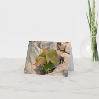 Natuur’s Touch – Lege begroeting en bedankkaart