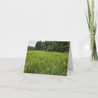 Natuur’s Touch – Lege begroeting en bedankkaart Kaart