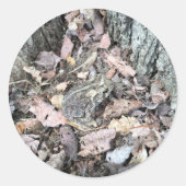 Natuur Scavenger Hunt Sticker: Toad Animal ID Ronde Sticker (Voorkant)