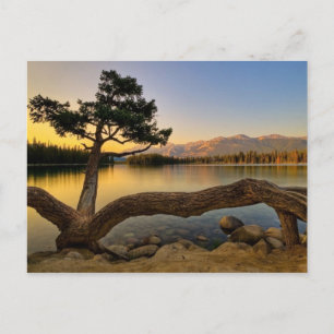 Natuur Scene Briefkaart