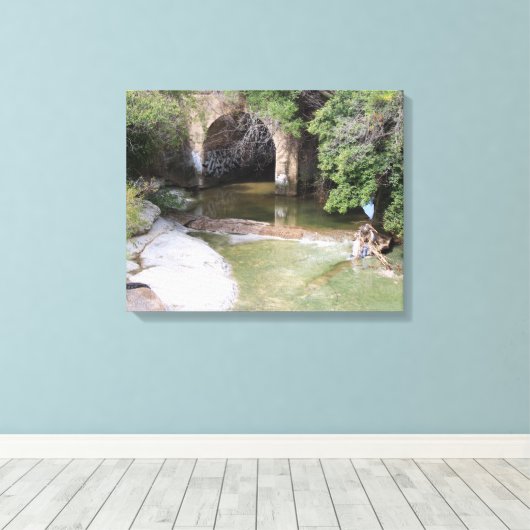 Natuur Scène van Watershed Canvas Afdruk (Insitu (Houten vloer))