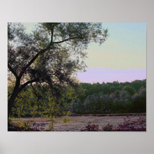 Natuur Serene Marsh and Tree Photo Effect Poster (Voorkant)