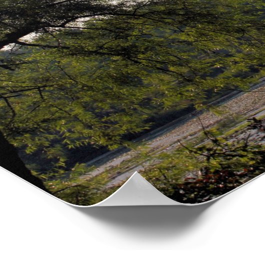 Natuur Serene Marsh en Boom Poster (Hoek)