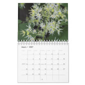 Natuur sluiten kalender (Mar 2027)