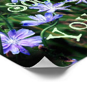 Natuur Soothes Wild Chicory Inspirerend Poster (Hoek)