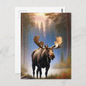 *~* Natuur STREAM AP49 MOOSE Forest Briefkaart (Voorkant / Achterkant)