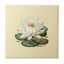 Natuur Style Water Lily Ceramic Tegel Tegeltje
