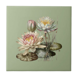 Natuur Style Water Lily Ceramic Tegel Tegeltje